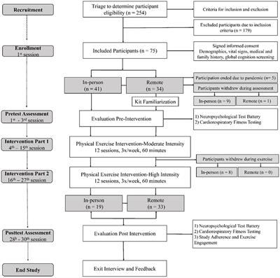 Exercise engagement drives changes in cognition and cardiorespiratory fitness after 8 weeks of aerobic training in sedentary aging adults at risk of cognitive decline